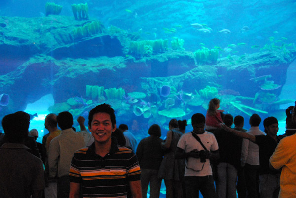 Dubai Aquarium and Discovery Centre, Dubai Mall