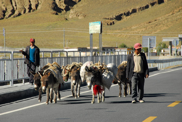 Working donkeys on the Friendship Highway
