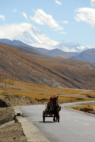 Horse cart with Mt Everest in the background
