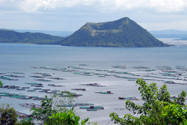 Tilapia cage farming in Lake Taal (Batangas)