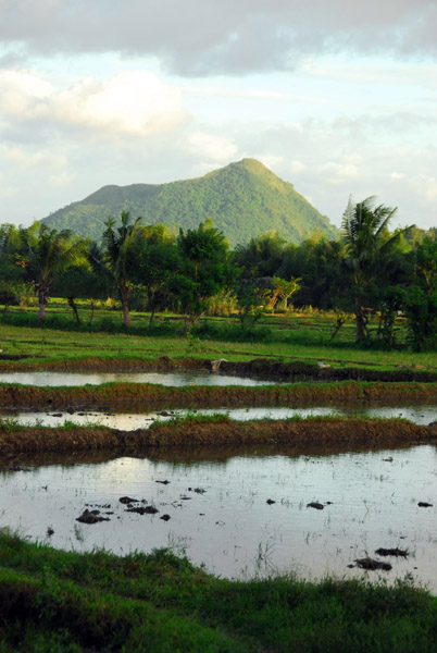 Paddies and the crater of Binitiang Malaki