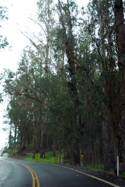 The road down from the summit