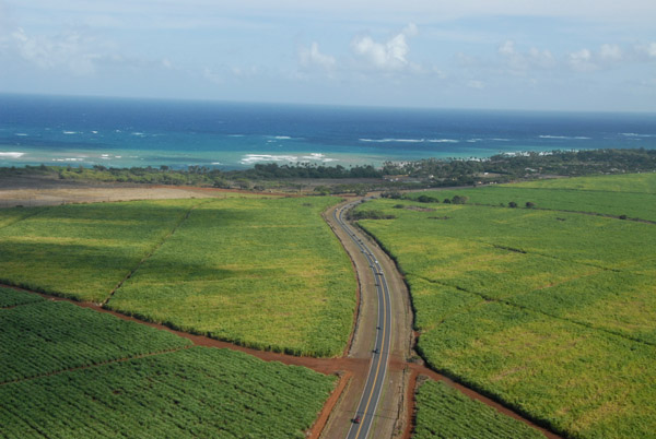 Crossing the Hana Highway while climbing out over the sugar cane fields of Maui's central valley