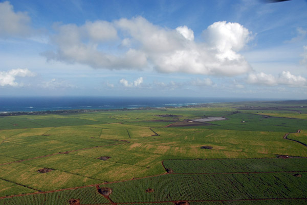 Central valley of Maui with the north coast