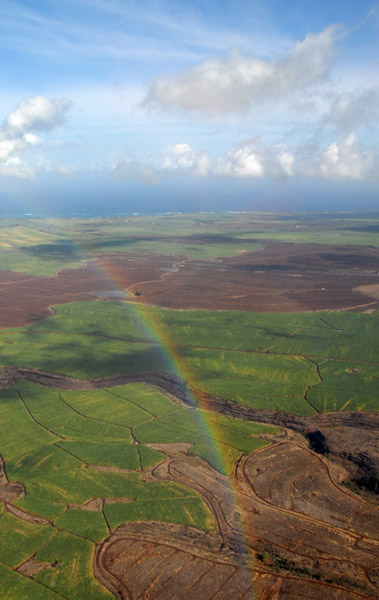 Rainbow over Maui's Central Valley