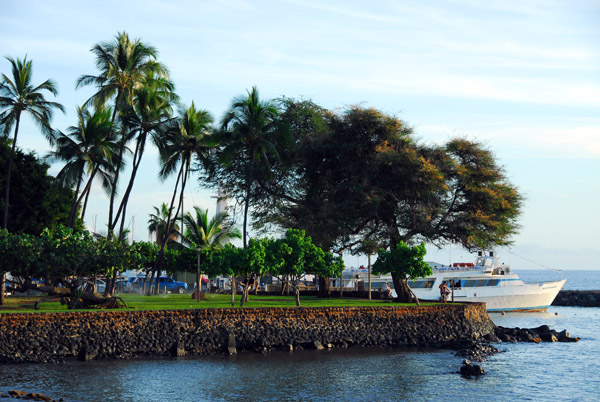 Park next to the Lahaina Marina