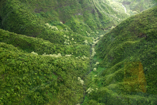 The inaccessible Waihee Valley floor, West Maui Mountains