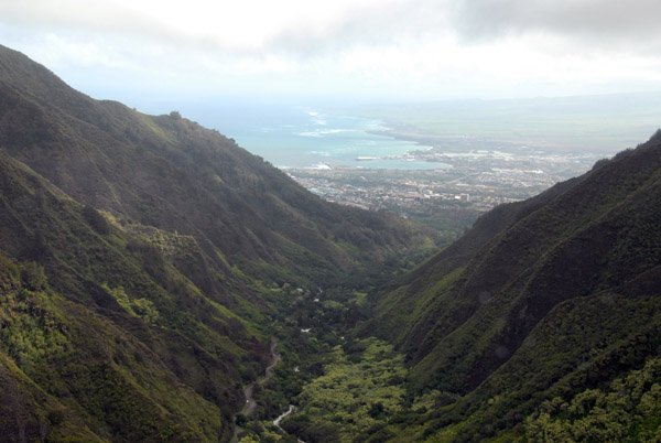 Iao Valley (“Ee-yow”)