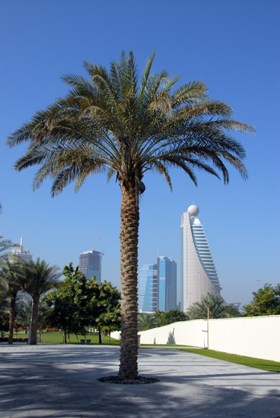 Palm Tree, Zabeel Park