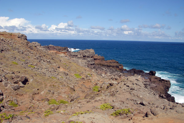 It looked worth hiking down to the Nakalele Blowhole