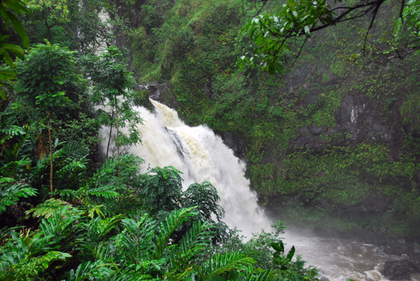 Upper Waikani Falls cascading through the wet jungle of Maui, Hana Highway