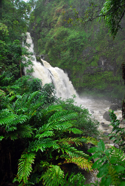 Upper Waikani Falls along the Hana Highway at mile 19.5