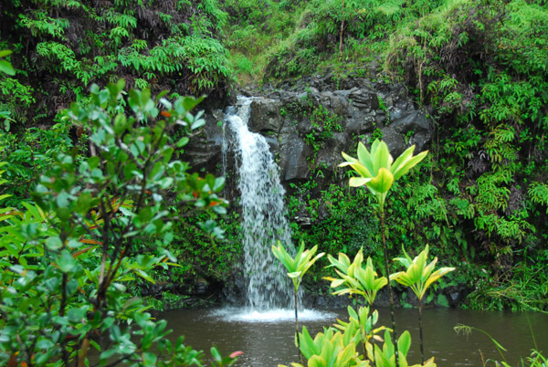 Waiohue Falls, Puaa Kaa State Park along the Hana Highway