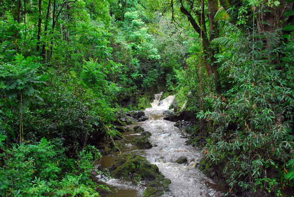 Stream off Nahiku Road, Maui