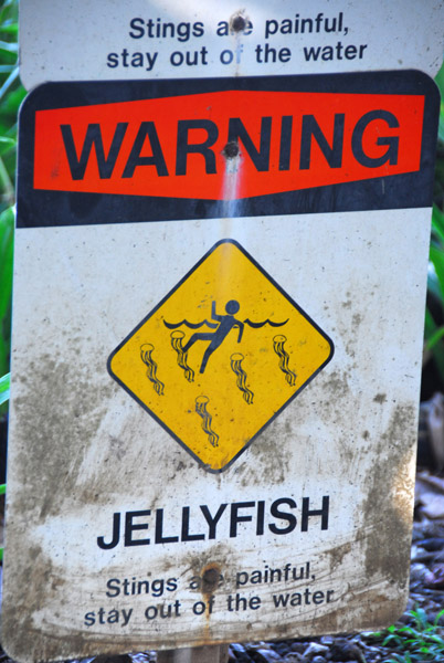 Warning - Jellyfish