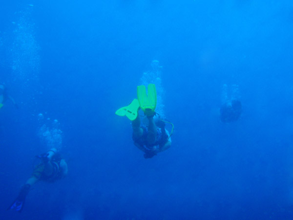 Swimming across the blue to reach Gab Gab Reef