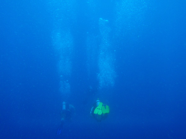 Micronesia Diving Association has very economical beach diving on weekends