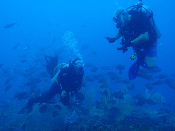 All the divers in the group were Americans living on Guam