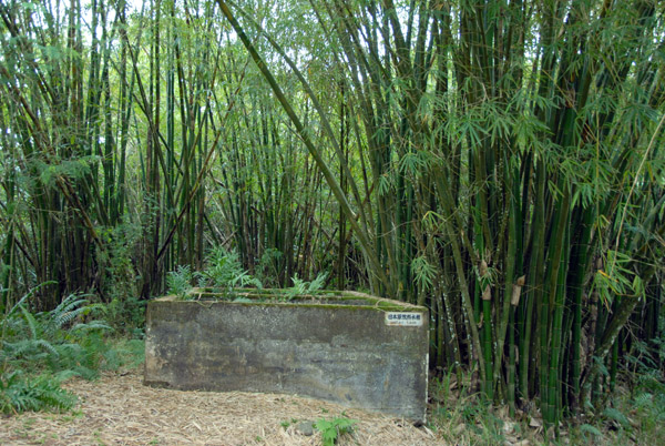 Bamboo forest leading to General Obata's command center