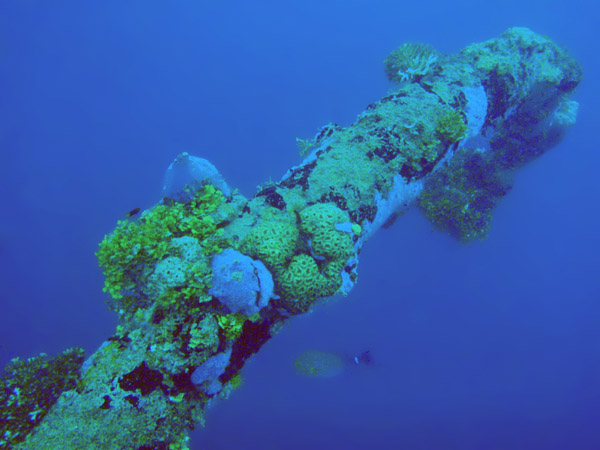 Wreck of the Tokai Maru
