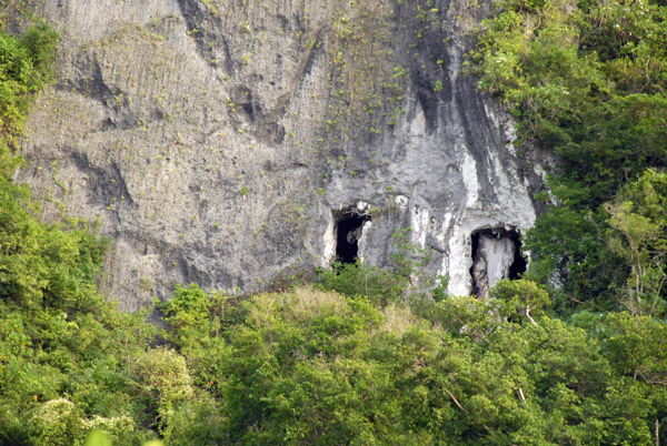 Caves cut out of the limestone cliffs at the north end of Guam