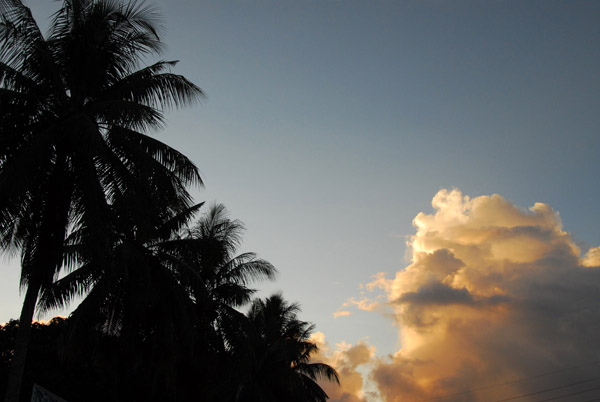 Palm trees and tropical clouds, Koror