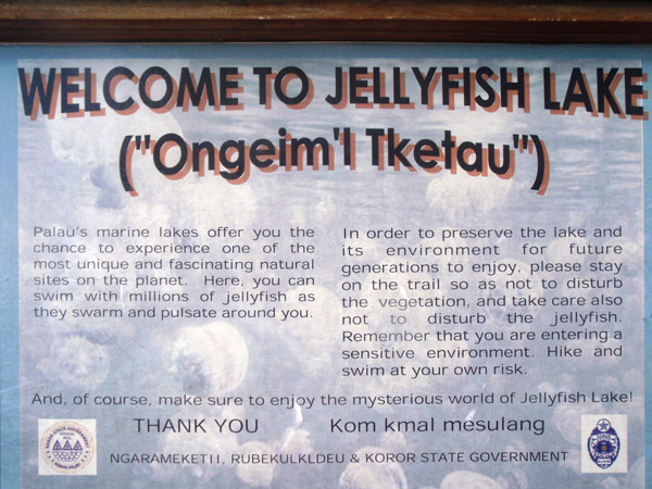 Welcome to Jellyfish Lake Ongeim'l Tketau