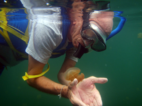 Dad playing with a jellyfish