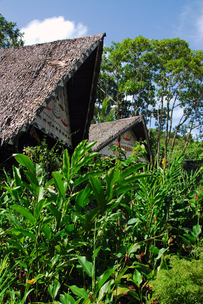 Thatched roofs, Babeldaob, Palau