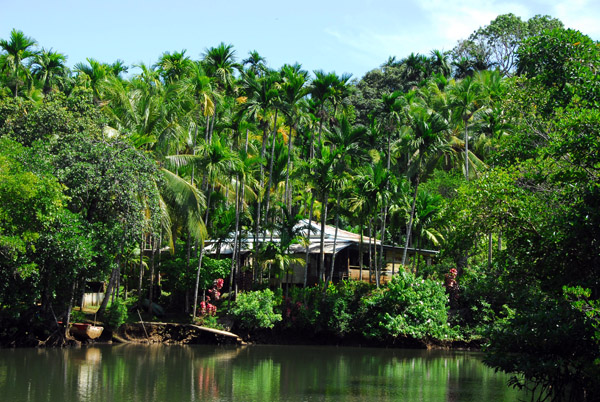 A house along the Ngerdorch River, Babeldaob, Palau
