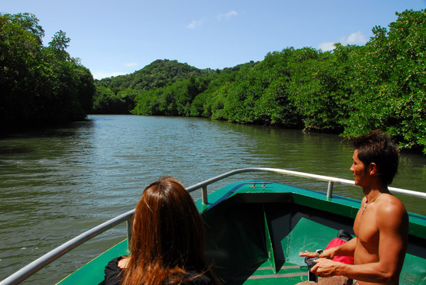 Jungle River Boat Cruise, Palau