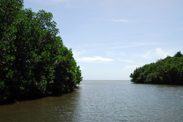 The Ngerdorch River meeting the sea, Palau