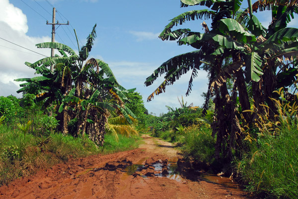 The road to Melekeok