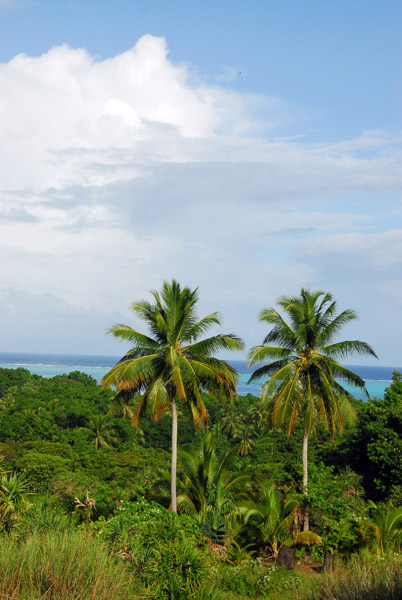 Ngarchelong State, Palau