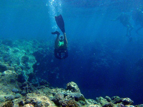 Diving into the Blue Hole, Palau
