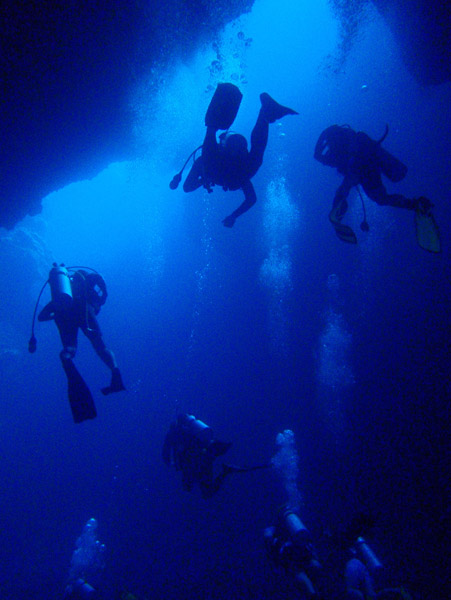 Divers in the Blue Hole, Palau
