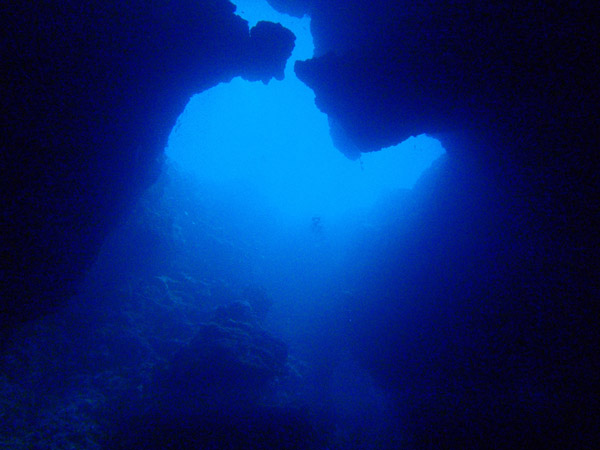 The Blue Hole leads into a cathedral-sized cave, Palau