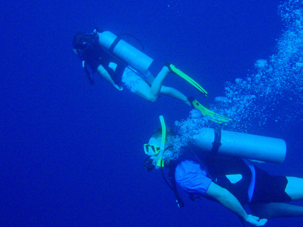 Divers in Palau