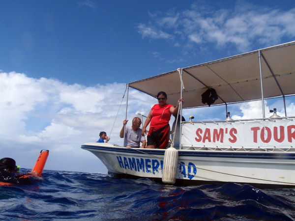 Sam's Tours Palau Hammerhead dive boat