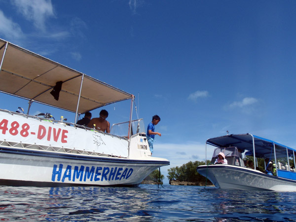 Lunch stop off Ngemelis Island, Palau