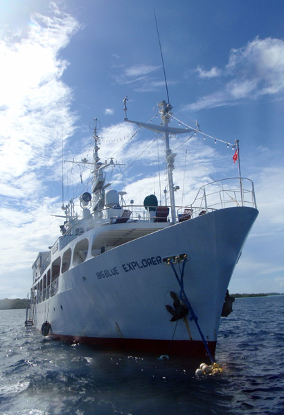 Big Blue Explorer, Palau