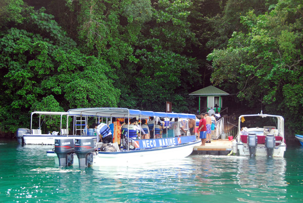 Tourist boats at the dock of Jellyfish Lake