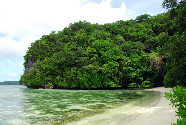 The beach along the north side of Kemurbeab in the Omekang Islands, Palau