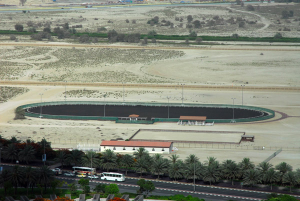 Horse track, Zabeel