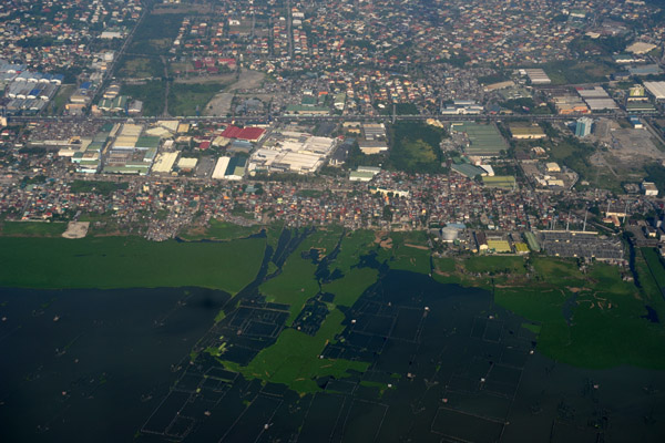 Shore of Laguna de Bay, Muntinlupa City (Metro Manila) Philippines