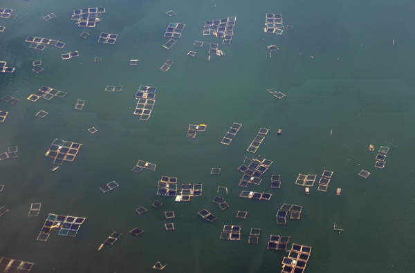 Fish farms, Lake Taal, Luzon, Philippines