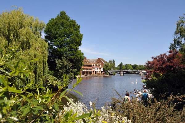 The Thames River at Windsor