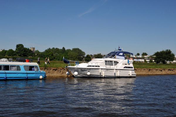 Boats pulled up along the Meadow, Eton