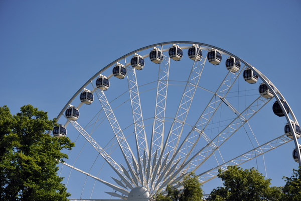 Royal Windsor Wheel, Alexandra Gardens