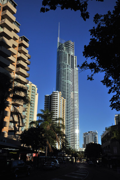 Q1 Tower through the trees along Gold Coast Blvd